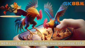 Theo dõi các phiên live đá gà GK88 sống động như xem trực tiếp 